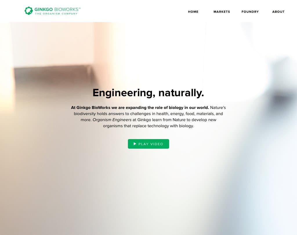 Ginkgo Bioworks Identity